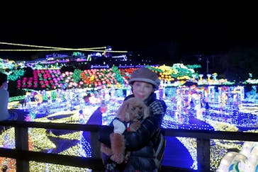 伊豆ぐらんぱる公園に投稿された画像（2023/1/13）