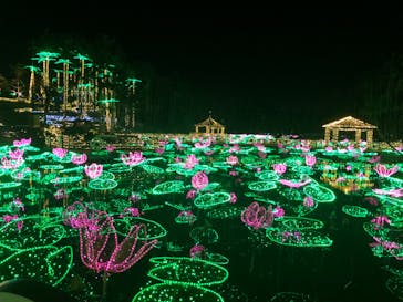 美らヤシパークオキナワ・東南植物楽園に投稿された画像（2023/1/13）