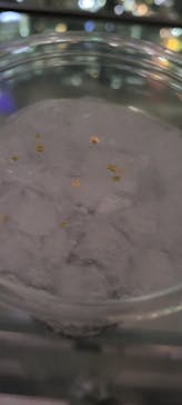 梅田スカイビル・空中庭園展望台に投稿された画像（2023/1/14）