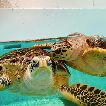 仙台うみの杜水族館に投稿された画像（2023/1/14）