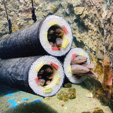 仙台うみの杜水族館に投稿された画像（2023/1/14）