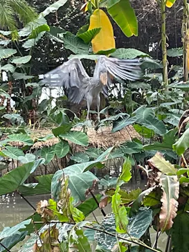 神戸どうぶつ王国に投稿された画像（2023/1/14）