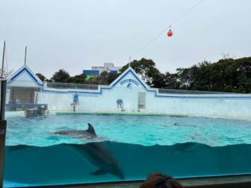 しながわ水族館に投稿された画像（2023/1/14）