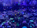 名古屋港水族館に投稿された画像（2023/1/14）