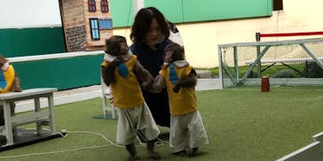 おさるランド＆アニタウン　日光さる軍団劇場に投稿された画像（2023/1/14）