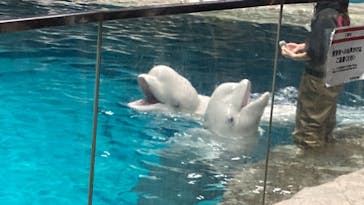 名古屋港水族館に投稿された画像（2023/1/14）