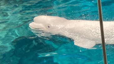 名古屋港水族館に投稿された画像（2023/1/14）