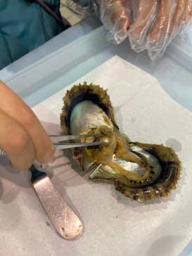 名古屋港水族館に投稿された画像（2023/1/14）