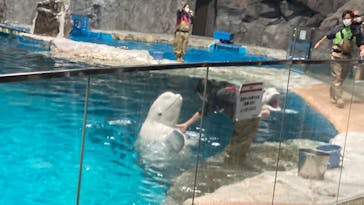 名古屋港水族館に投稿された画像（2023/1/14）