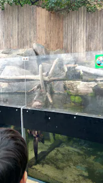 横浜・八景島シーパラダイスに投稿された画像（2023/1/14）