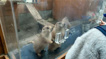 横浜・八景島シーパラダイスに投稿された画像（2023/1/14）