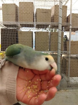 Moff アニマル カフェ イーアス 高尾店に投稿された画像（2023/1/14）