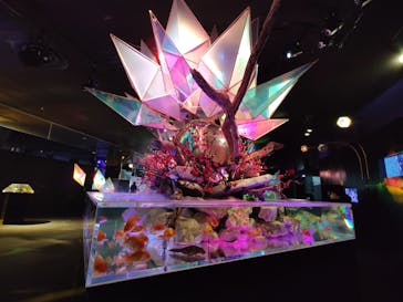 NARA KINGYO MUSEUMに投稿された画像（2023/1/14）