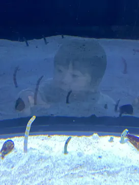 すみだ水族館に投稿された画像（2023/1/14）