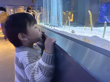 すみだ水族館に投稿された画像（2023/1/14）