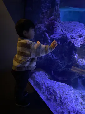 すみだ水族館に投稿された画像（2023/1/14）