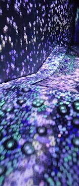 チームラボフォレスト 福岡 - SBI証券に投稿された画像（2023/1/14）