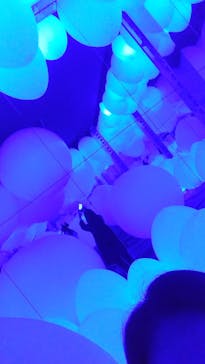 チームラボフォレスト 福岡 - SBI証券に投稿された画像（2023/1/14）