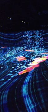 チームラボフォレスト 福岡 - SBI証券に投稿された画像（2023/1/14）