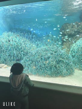 サンシャイン水族館に投稿された画像（2023/1/14）