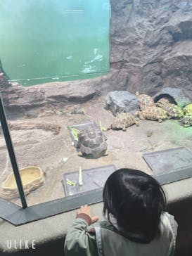 サンシャイン水族館に投稿された画像（2023/1/14）