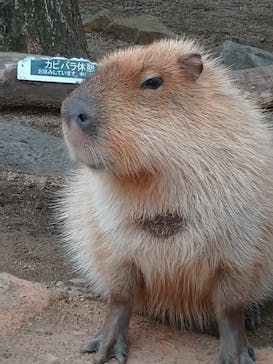 那須どうぶつ王国に投稿された画像（2023/1/14）