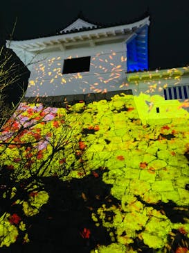 福山城400年博-FUKUYAMA CASTLE EXPO 2022- RCC開局70年 「チームラボ 福山城 光の祭」に投稿された画像（2023/1/14）