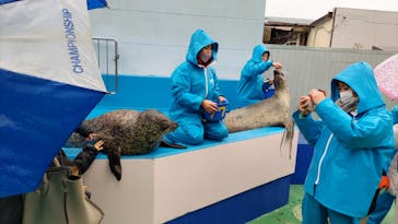 ゼロ距離水族館 伊勢シーパラダイスに投稿された画像（2023/1/14）
