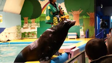 ゼロ距離水族館 伊勢シーパラダイスに投稿された画像（2023/1/14）