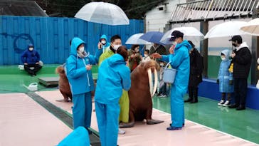ゼロ距離水族館 伊勢シーパラダイスに投稿された画像（2023/1/14）