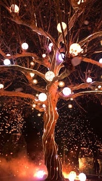 西武園ゆうえんちに投稿された画像（2023/1/14）