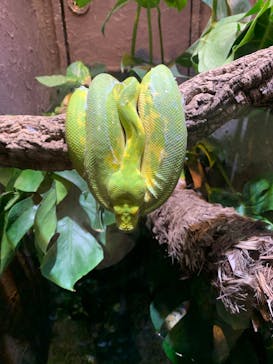 体感型動物園iZooに投稿された画像（2023/1/14）