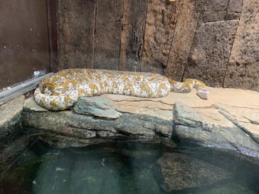 体感型動物園iZooに投稿された画像（2023/1/14）