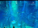 アクアワールド茨城県大洗水族館に投稿された画像（2023/1/14）