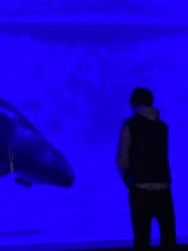 アクアワールド茨城県大洗水族館に投稿された画像（2023/1/14）