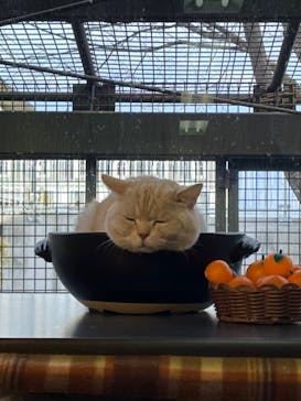 那須どうぶつ王国に投稿された画像（2023/1/14）