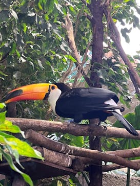 那須どうぶつ王国に投稿された画像（2023/1/14）