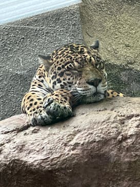 那須どうぶつ王国に投稿された画像（2023/1/14）