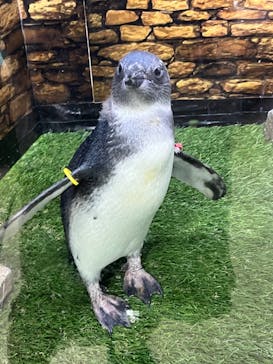 那須どうぶつ王国に投稿された画像（2023/1/14）