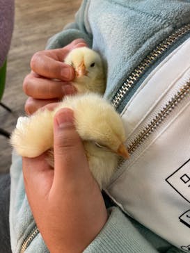 Moff animal cafe iias つくば店に投稿された画像（2023/1/14）