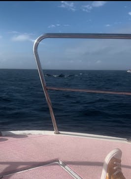 マリンクラブ ベリー 那覇店に投稿された画像（2023/1/14）