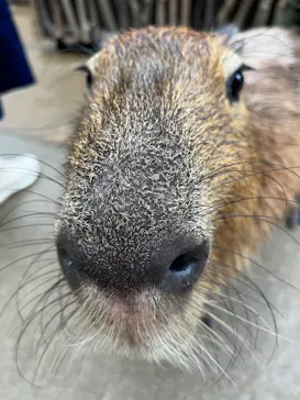 神戸どうぶつ王国に投稿された画像（2023/1/14）