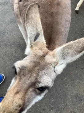 神戸どうぶつ王国に投稿された画像（2023/1/14）