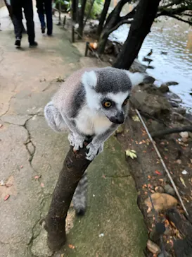 神戸どうぶつ王国に投稿された画像（2023/1/14）