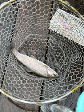 大安トラウトレイクに投稿された画像（2023/1/14）