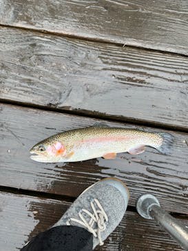 大安トラウトレイクに投稿された画像（2023/1/14）