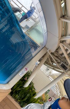 サンシャイン水族館に投稿された画像（2023/1/14）