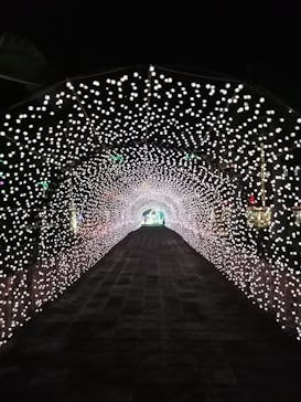 美らヤシパークオキナワ・東南植物楽園に投稿された画像（2023/1/14）