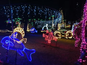 美らヤシパークオキナワ・東南植物楽園に投稿された画像（2023/1/14）