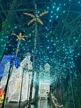 美らヤシパークオキナワ・東南植物楽園に投稿された画像（2023/1/14）